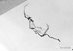 史国良爆料视频,揭秘爆料视频背后的惊人真相 第2张 史国良爆料视频,揭秘爆料视频背后的惊人真相 第2张